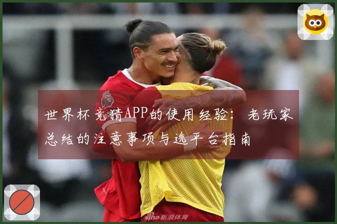 世界杯竞猜APP的使用经验:老玩家总结的注意事项与选平台指南